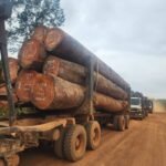 IMG 20251026 WA0007 150x150