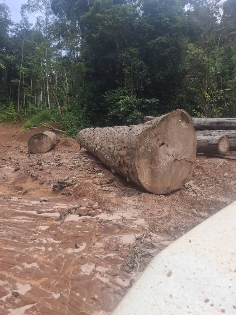 Catalog img 20251026 wa0008