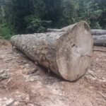 IMG 20251026 WA0009 150x150