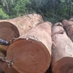 IMG 20251026 WA0010 150x150