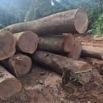 IMG 20251026 WA0012 150x150