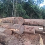 IMG 20251026 WA0013 150x150