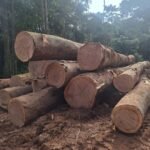 IMG 20251026 WA0014 150x150