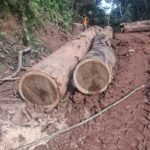 IMG 20251026 WA0015 150x150