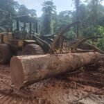 IMG 20251026 WA0016 150x150