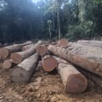 IMG 20251026 WA0017 150x150