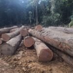 IMG 20251026 WA0018 150x150