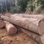 IMG 20251026 WA0019 150x150