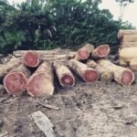 IMG 20251026 WA0020 150x150