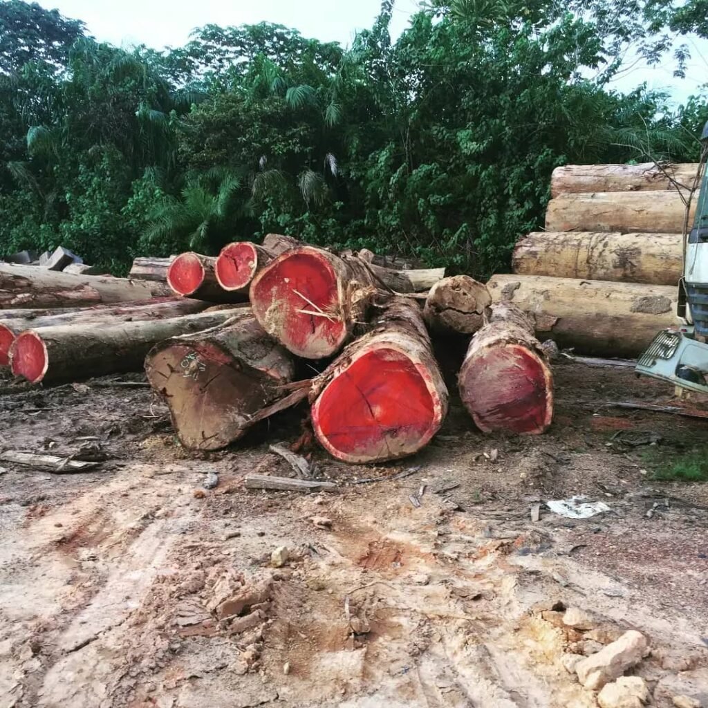 IMG 20251026 WA0022 1024x1024