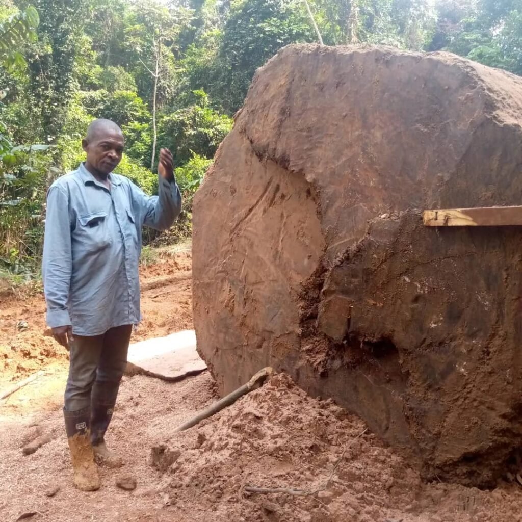 IMG 20251026 WA0023 1024x1024