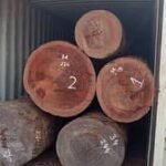 IMG 20251026 WA0026 150x150