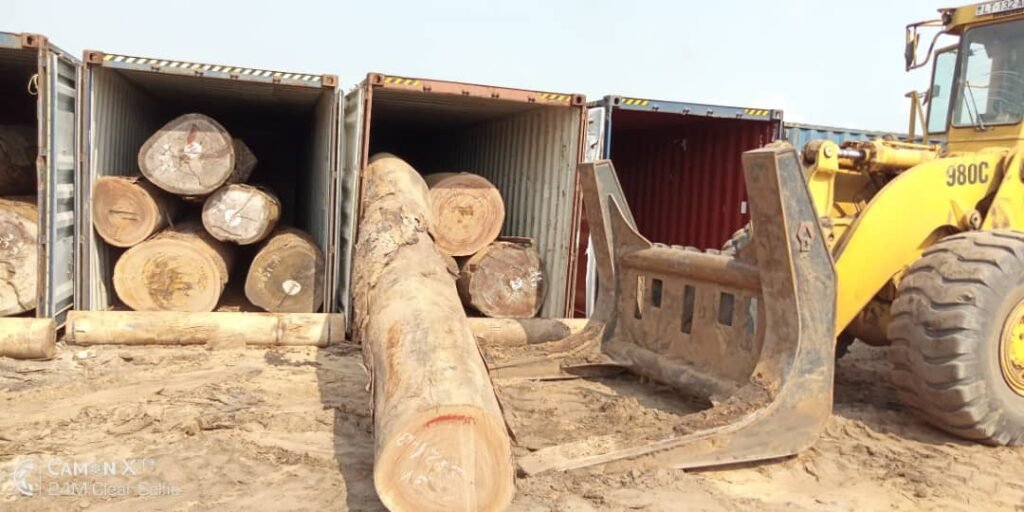 About IMG 20251026 WA0028 1024x512