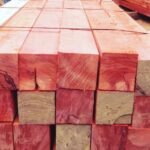 IMG 20251026 WA0037 150x150