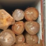 IMG 20251026 WA0044 150x150