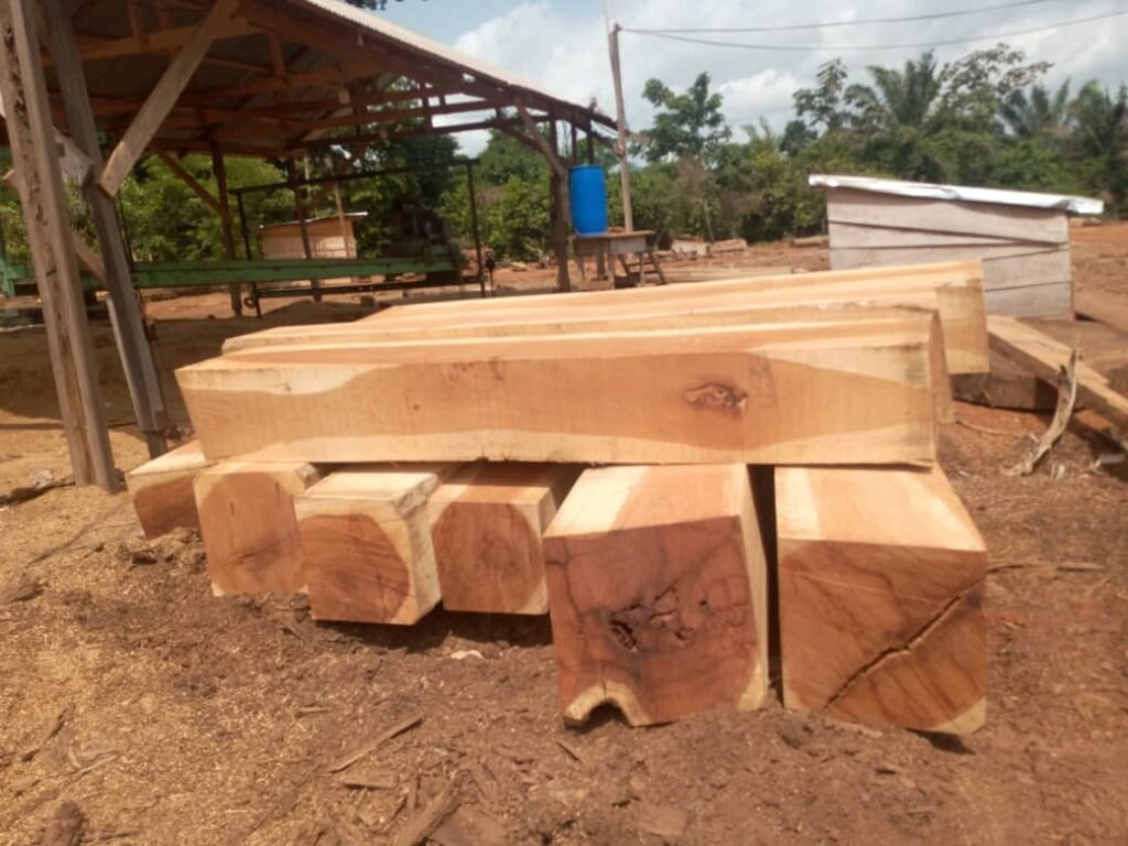 IMG 20251026 WA0047 1024x768