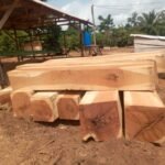 IMG 20251026 WA0047 150x150