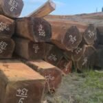 IMG 20251026 WA0049 150x150