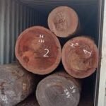 IMG 20251026 WA0050 1 150x150