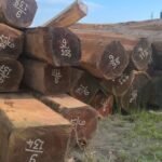 IMG 20251026 WA0051 150x150