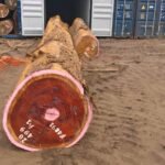 IMG 20251026 WA0054 1 150x150