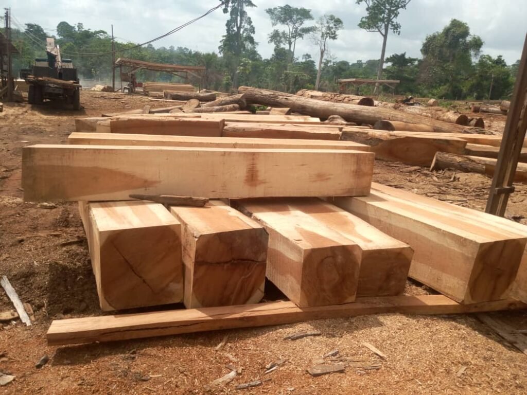 IMG 20251026 WA0055 1 1024x768