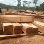 IMG 20251026 WA0055 1 150x150