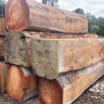 IMG 20251026 WA0057 1 150x150