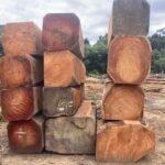 IMG 20251026 WA0058 1 150x150